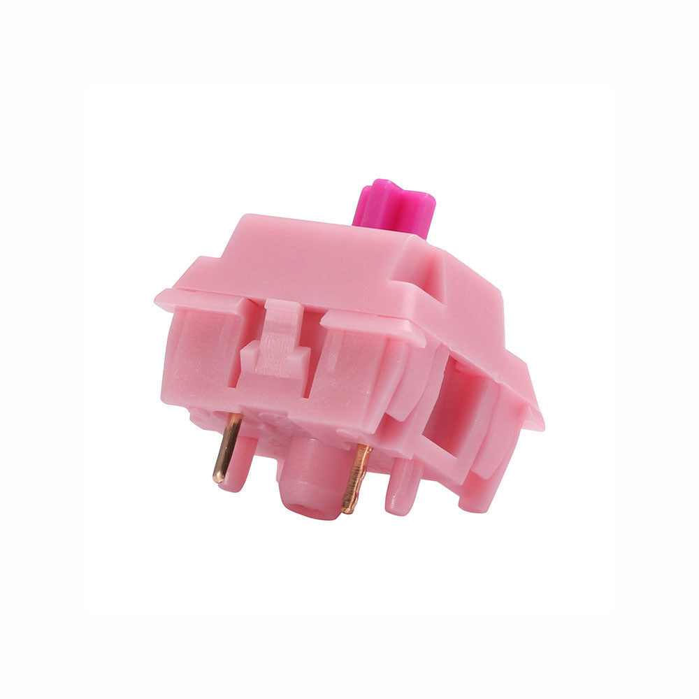 Gazzew Boba Gum